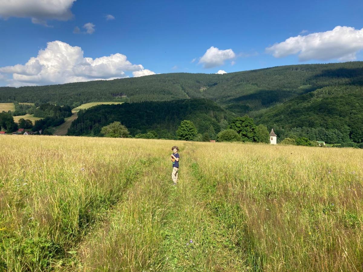 Vila Adélka - útulná chalupa v Krkonoších Horní Maršov Esterno foto