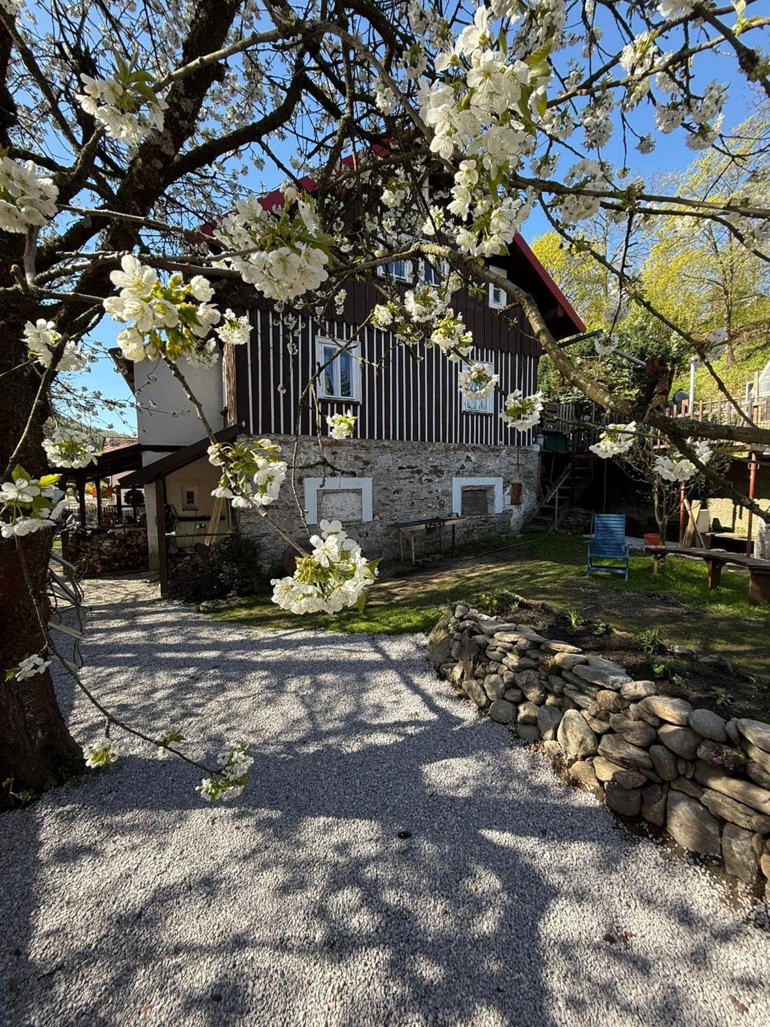 Vila Adélka - útulná chalupa v Krkonoších Horní Maršov Esterno foto
